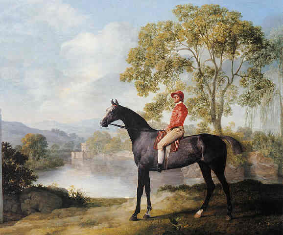 euston_dappled_racehorse-5195771