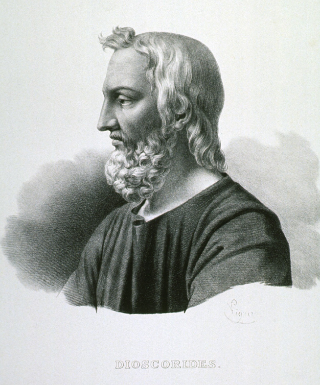 dioscorides-9912860