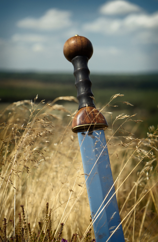 roman weapons gladius